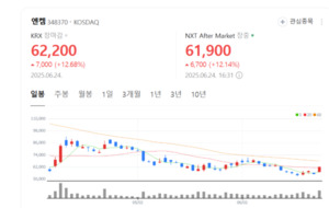 ESS 특수 타고 엔켐 질주… 전해액 생산 