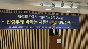 자동차산업 "정부 지원 없으면 도태"…미래차 전환·관세 위기 동시 대...
